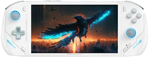 OneXFly